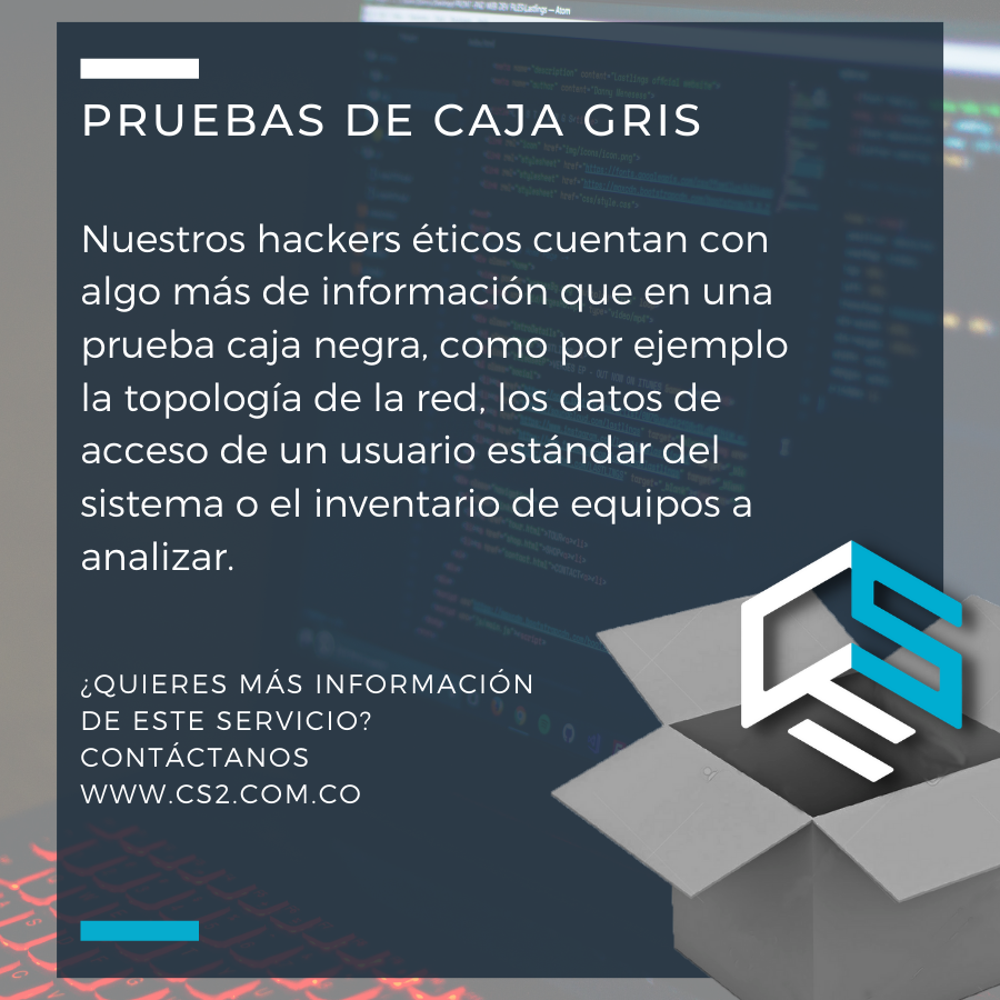 ¿⁣Que son las pruebas de caja gris?